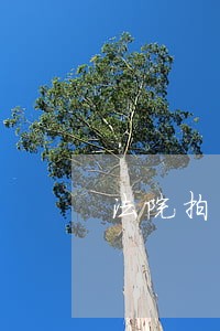 法院拍卖房产过不了户怎么办 法院拍卖房产过不了户怎么办