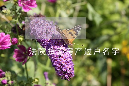 法院拍卖房产过户名字 法院拍卖房产过户名字