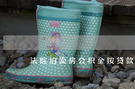 法院拍卖房公积金按贷款吗 法院拍卖房公积金按贷款吗