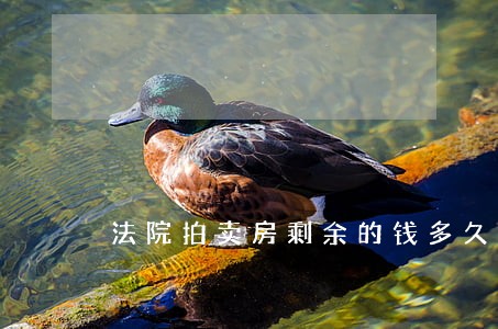 法院拍卖房剩余的钱多久到 法院拍卖房剩余的钱多久到