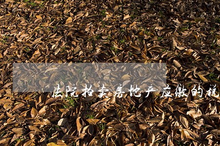 法院拍卖房地产应缴的税费