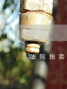 法院拍卖房子中介费用 法院拍卖房子中介费用