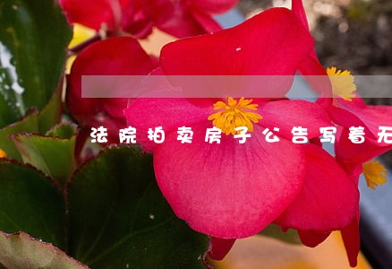 法院拍卖房子公告写着无租赁 法院拍卖房子公告写着无租赁