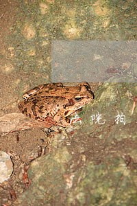 法院拍卖房子公示原房产证注销 法院拍卖房子公示原房产证注销