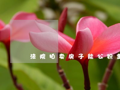 法院拍卖房子能公积金贷款吗 法院拍卖房子能公积金贷款吗