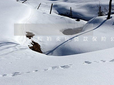 法院拍卖房贷款保险公司担保费 法院拍卖房贷款保险公司担保费
