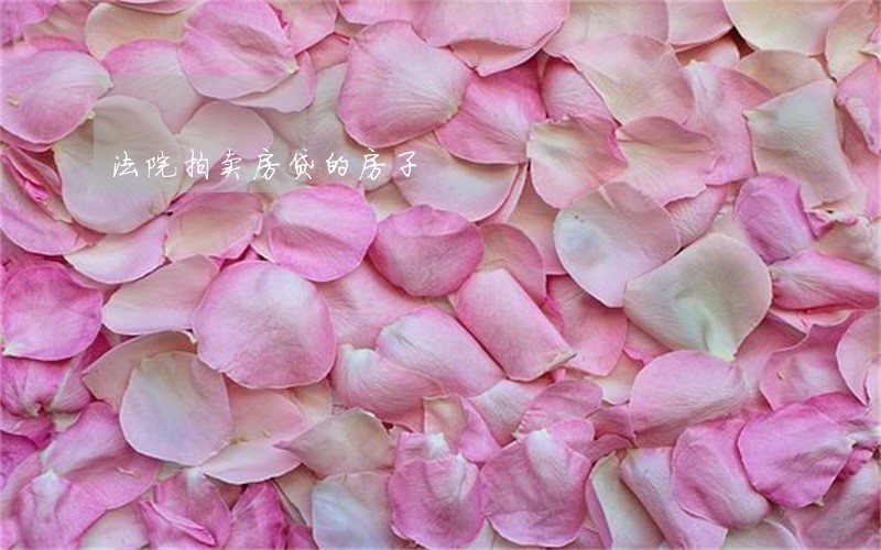 法院拍卖房贷的房子