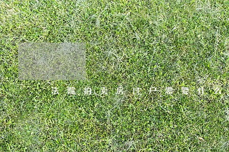 法院拍卖房过户需要什么