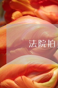 法院拍卖执行违法 法院拍卖执行违法