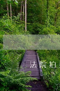 法院拍卖抵押房子吗 法院拍卖抵押房子吗