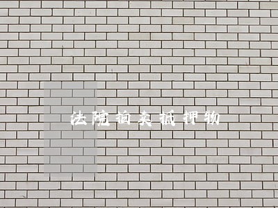法院拍卖抵押物