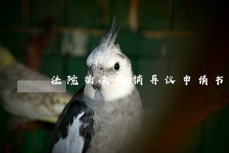 法院拍卖撤销异议申请书 法院拍卖撤销异议申请书