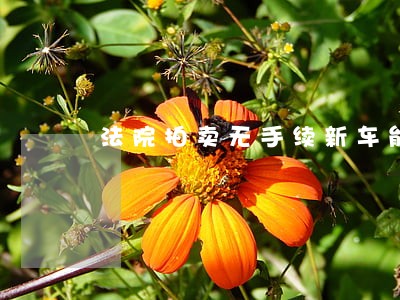 法院拍卖无手续新车能上牌吗 法院拍卖无手续新车能上牌吗