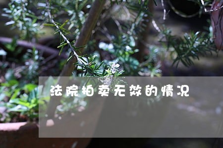 法院拍卖无效的情况 法院拍卖无效的情况