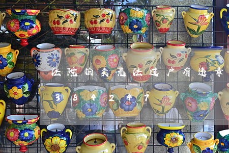 法院拍卖无法过户有违章/2023031384247 法院拍卖无法过户有违章/2023031384247