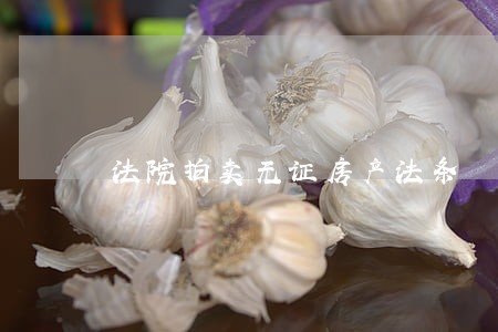法院拍卖无证房产法条