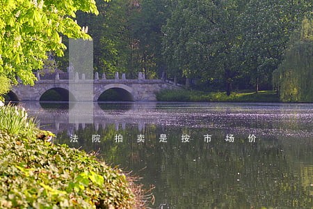 法院拍卖是按市场价 法院拍卖是按市场价