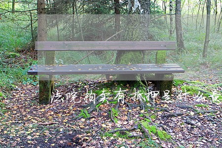 法院拍卖有抵押是什么意思 法院拍卖有抵押是什么意思