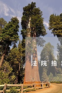 法院拍卖未通知债务人 法院拍卖未通知债务人
