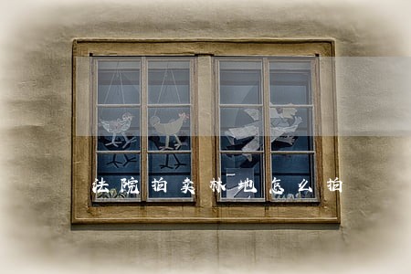 法院拍卖林地怎么拍