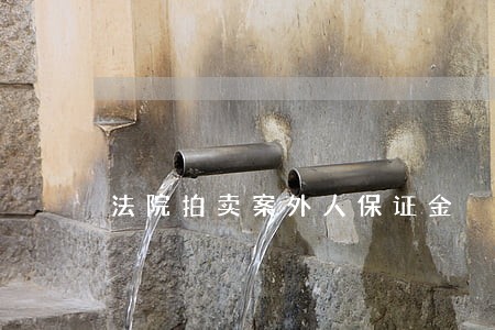 法院拍卖案外人保证金