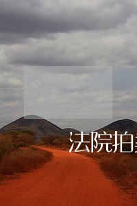 法院拍卖楼盘已购买用户怎么办 法院拍卖楼盘已购买用户怎么办