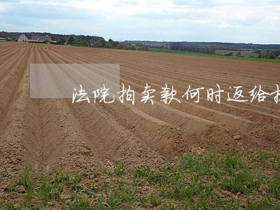 法院拍卖款何时返给执行人 法院拍卖款何时返给执行人