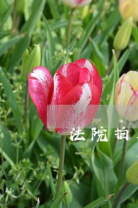 法院拍卖江苏拍卖