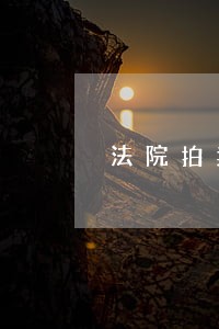 法院拍卖汽车上税标准 法院拍卖汽车上税标准