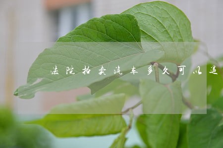 法院拍卖汽车多久可以过户手续 法院拍卖汽车多久可以过户手续