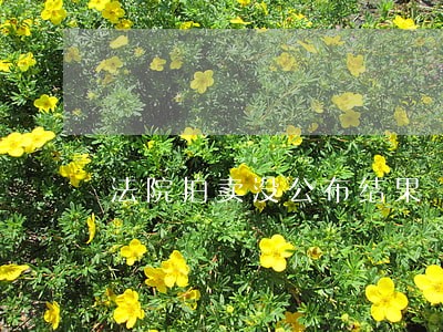法院拍卖没公布结果