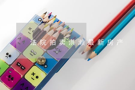 法院拍卖洪濑最新房产