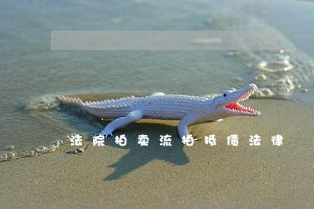 法院拍卖流拍抵债法律