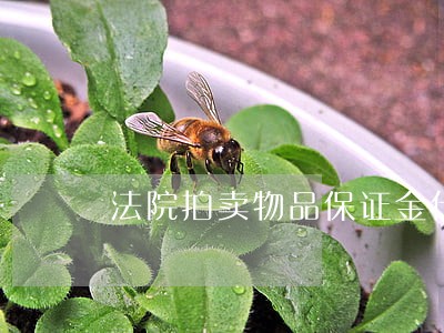 法院拍卖物品保证金什么时候交 法院拍卖物品保证金什么时候交