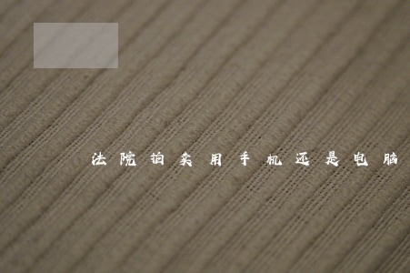 法院拍卖用手机还是电脑好