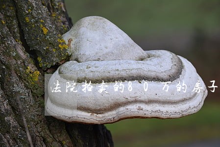 法院拍卖的80万的房子成交后 法院拍卖的80万的房子成交后