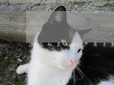 法院拍卖的小产房子能买吗 法院拍卖的小产房子能买吗