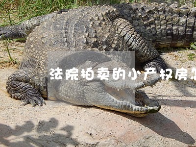 法院拍卖的小产权房怎么办理