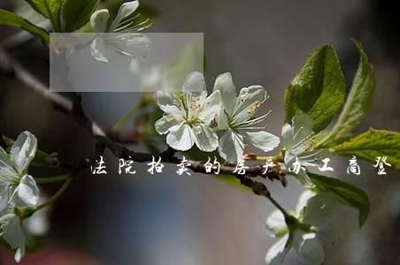 法院拍卖的房产办工商登记