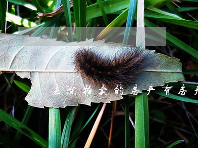 法院拍卖的房产有房产证吗 法院拍卖的房产有房产证吗