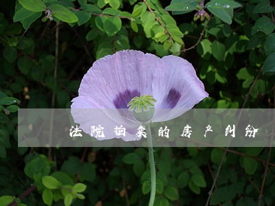 法院拍卖的房产纠纷 法院拍卖的房产纠纷