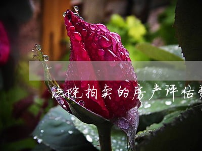法院拍卖的房产评估费怎样收取 法院拍卖的房产评估费怎样收取