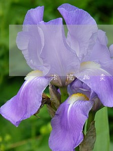 法院拍卖的房产都要交哪些税 法院拍卖的房产都要交哪些税
