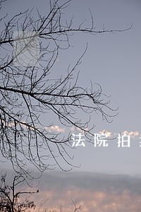 法院拍卖的房子不想要 法院拍卖的房子不想要