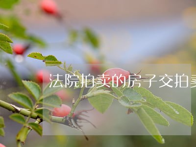 法院拍卖的房子交拍卖税吗 法院拍卖的房子交拍卖税吗