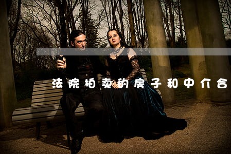 法院拍卖的房子和中介合作吗 法院拍卖的房子和中介合作吗
