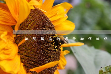 法院拍卖的房子如何运作 法院拍卖的房子如何运作