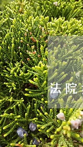 法院拍卖的房子已经交了全款 法院拍卖的房子已经交了全款