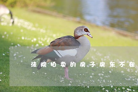 法院拍卖的房子房东不在怎么处理 法院拍卖的房子房东不在怎么处理