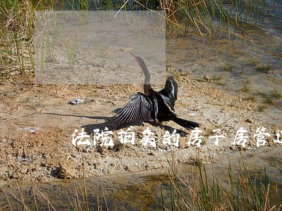 法院拍卖的房子房管过户流程 法院拍卖的房子房管过户流程